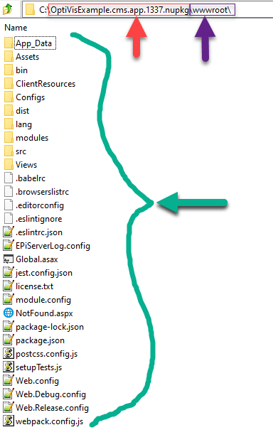 Optimizely CMS 11 NUPKG format